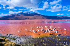 Laguna Colorada en Bolivia.png